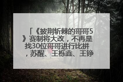 《披荆斩棘的哥哥5》赛制将大改，不再是找30位哥哥进行比拼，苏醒、王栎鑫、王铮亮、张远等多名男团选手被曝将参加
