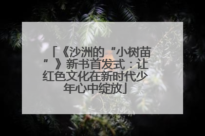 《沙洲的“小树苗”》新书首发式：让红色文化在新时代少年心中绽放