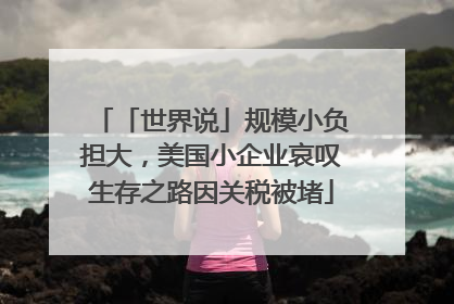 「世界说」规模小负担大，美国小企业哀叹生存之路因关税被堵