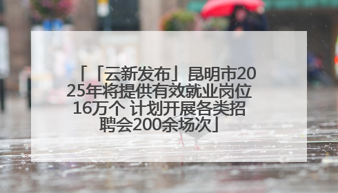 「云新发布」昆明市2025年将提供有效就业岗位16万个 计划开展各类招聘会200余场次