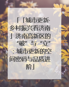 「城市更新·乡村振兴看济南」济南高新区的“破”与“立”：城市更新的空间密码与品质进阶