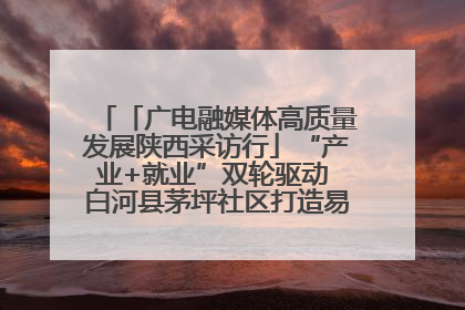 「广电融媒体高质量发展陕西采访行」“产业+就业”双轮驱动 白河县茅坪社区打造易地搬迁后扶新样本