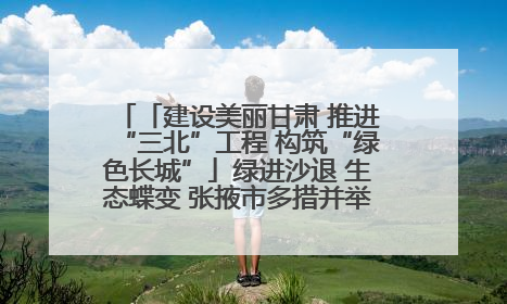 「建设美丽甘肃 推进“三北”工程 构筑“绿色长城”」绿进沙退 生态蝶变 张掖市多措并举加大防沙治沙力度
