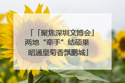 「聚焦深圳文博会」两地“牵手”结硕果 昭通皇菊香飘鹏城