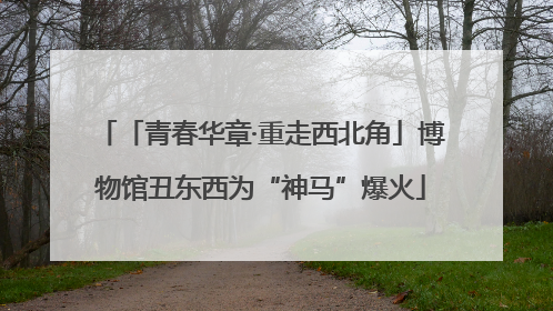 「青春华章·重走西北角」博物馆丑东西为“神马”爆火