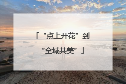 “点上开花”到“全域共美”