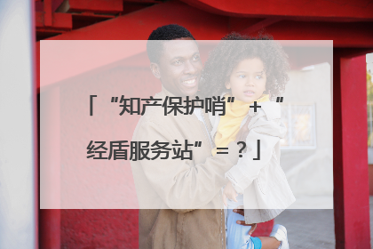“知产保护哨”+“经盾服务站”=？