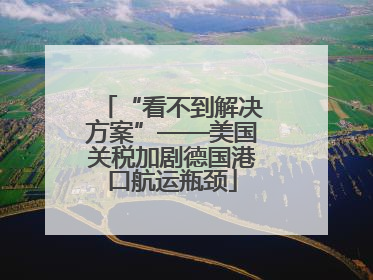“看不到解决方案”——美国关税加剧德国港口航运瓶颈