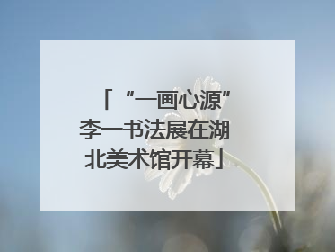 “一画心源”李一书法展在湖北美术馆开幕