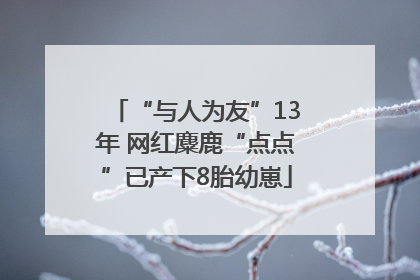 “与人为友”13年 网红麋鹿“点点”已产下8胎幼崽