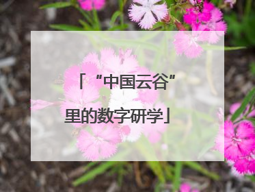 “中国云谷”里的数字研学