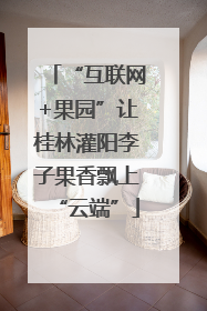 “互联网+果园”让桂林灌阳李子果香飘上“云端”