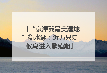 “京津冀最美湿地”衡水湖：近万只夏候鸟进入繁殖期