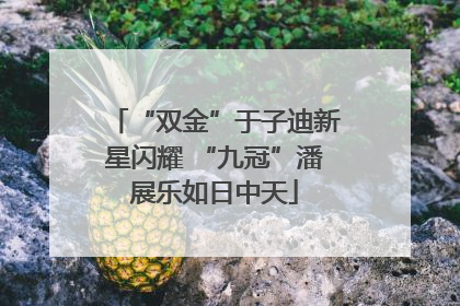 “双金”于子迪新星闪耀 “九冠”潘展乐如日中天