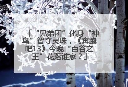 “兄弟团”化身“神鸟”智夺灵珠，《奔跑吧13》今晚“百谷之王”花落谁家？