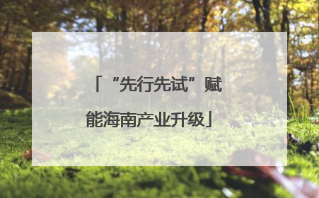 “先行先试”赋能海南产业升级