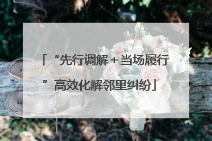 “先行调解＋当场履行”高效化解邻里纠纷
