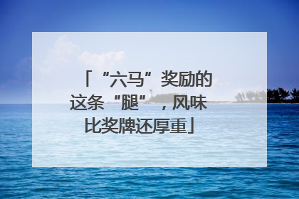 “六马”奖励的这条“腿”，风味比奖牌还厚重