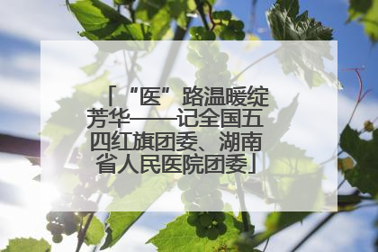 “医”路温暖绽芳华——记全国五四红旗团委、湖南省人民医院团委