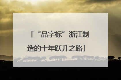 “品字标”浙江制造的十年跃升之路