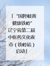 “国粹岐黄 健康铁岭”辽宁省第二届中医药文化夜市（铁岭站）启动
