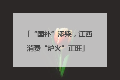 “国补”添柴，江西消费“炉火”正旺