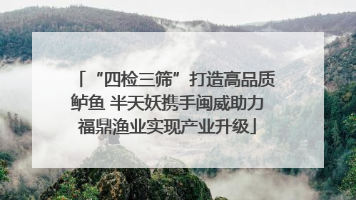 “四检三筛”打造高品质鲈鱼 半天妖携手闽威助力福鼎渔业实现产业升级