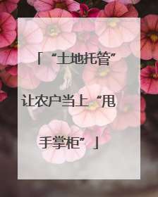 “土地托管”让农户当上“甩手掌柜”