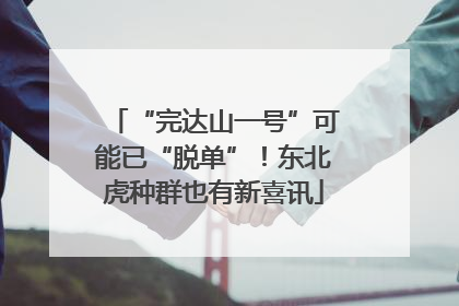 “完达山一号”可能已“脱单”！东北虎种群也有新喜讯