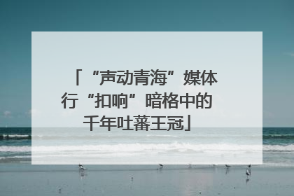 “声动青海”媒体行“扣响”暗格中的千年吐蕃王冠