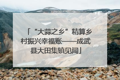 “大蒜之乡”精算乡村振兴幸福账——成武县大田集镇见闻