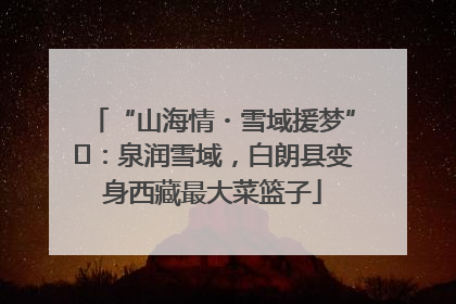 “山海情・雪域援梦”⑪：泉润雪域，白朗县变身西藏最大菜篮子