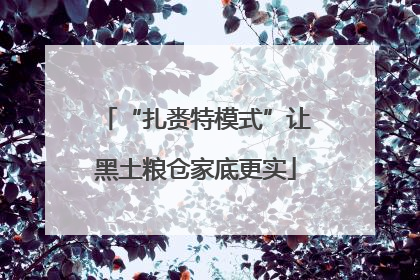 “扎赉特模式”让黑土粮仓家底更实
