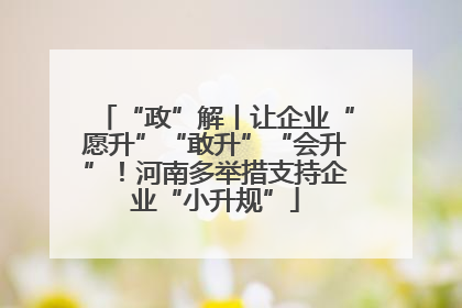 “政”解丨让企业“愿升”“敢升”“会升”！河南多举措支持企业“小升规”