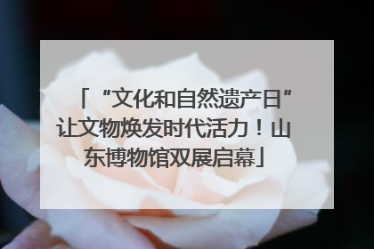 “文化和自然遗产日”让文物焕发时代活力！山东博物馆双展启幕