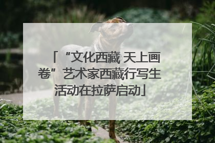 “文化西藏 天上画卷”艺术家西藏行写生活动在拉萨启动