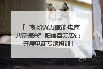“新阶聚力赋能·电商共富振兴”阳信县劳店镇开展电商专题培训