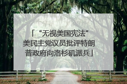 “无视美国宪法” 美民主党议员批评特朗普政府向洛杉矶派兵