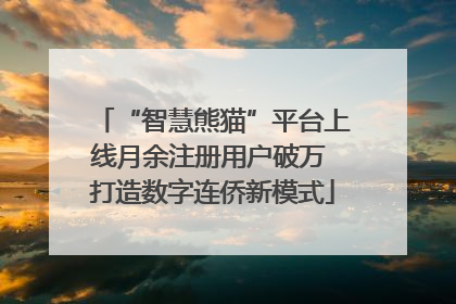 “智慧熊猫”平台上线月余注册用户破万 打造数字连侨新模式
