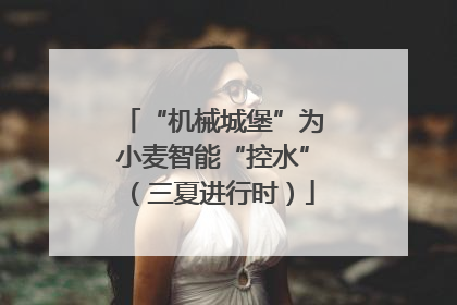 “机械城堡”为小麦智能“控水”（三夏进行时）