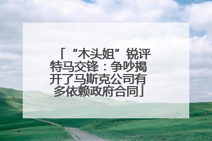 “木头姐”锐评特马交锋：争吵揭开了马斯克公司有多依赖政府合同