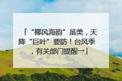 “椰风海韵”虽美，天降“巨叶”要防！台风季，有关部门提醒→