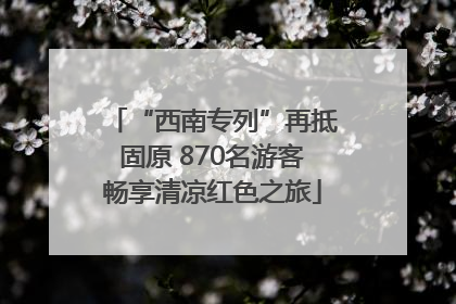 “西南专列”再抵固原 870名游客畅享清凉红色之旅