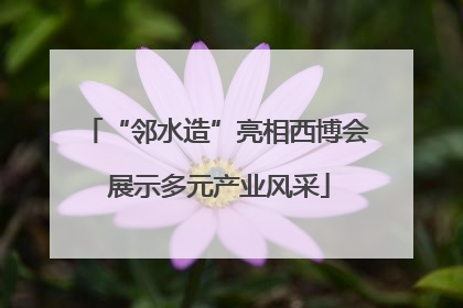 “邻水造”亮相西博会 展示多元产业风采