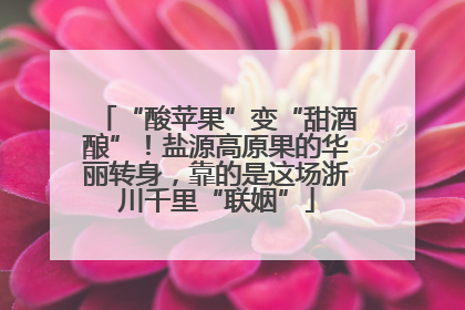 “酸苹果”变“甜酒酿”！盐源高原果的华丽转身，靠的是这场浙川千里“联姻”