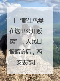 “野生鸟类在这里公开贩卖”，人民日报暗访后，西安表态