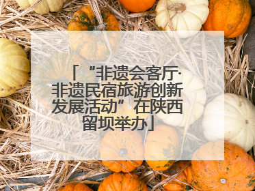 “非遗会客厅·非遗民宿旅游创新发展活动”在陕西留坝举办
