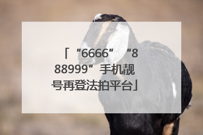 “6666”“888999”手机靓号再登法拍平台