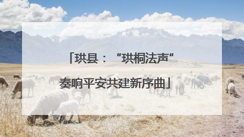 珙县：“珙桐法声”奏响平安共建新序曲