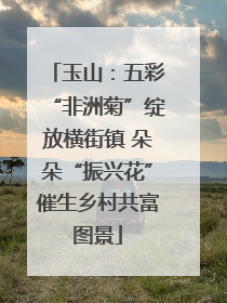 玉山：五彩“非洲菊”绽放横街镇 朵朵“振兴花”催生乡村共富图景